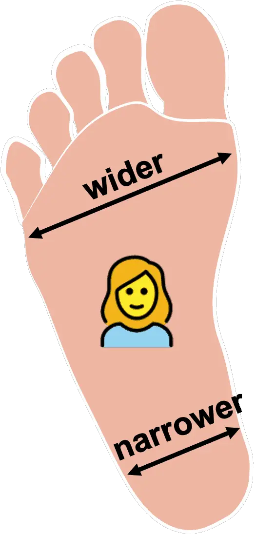 Women feet geometry